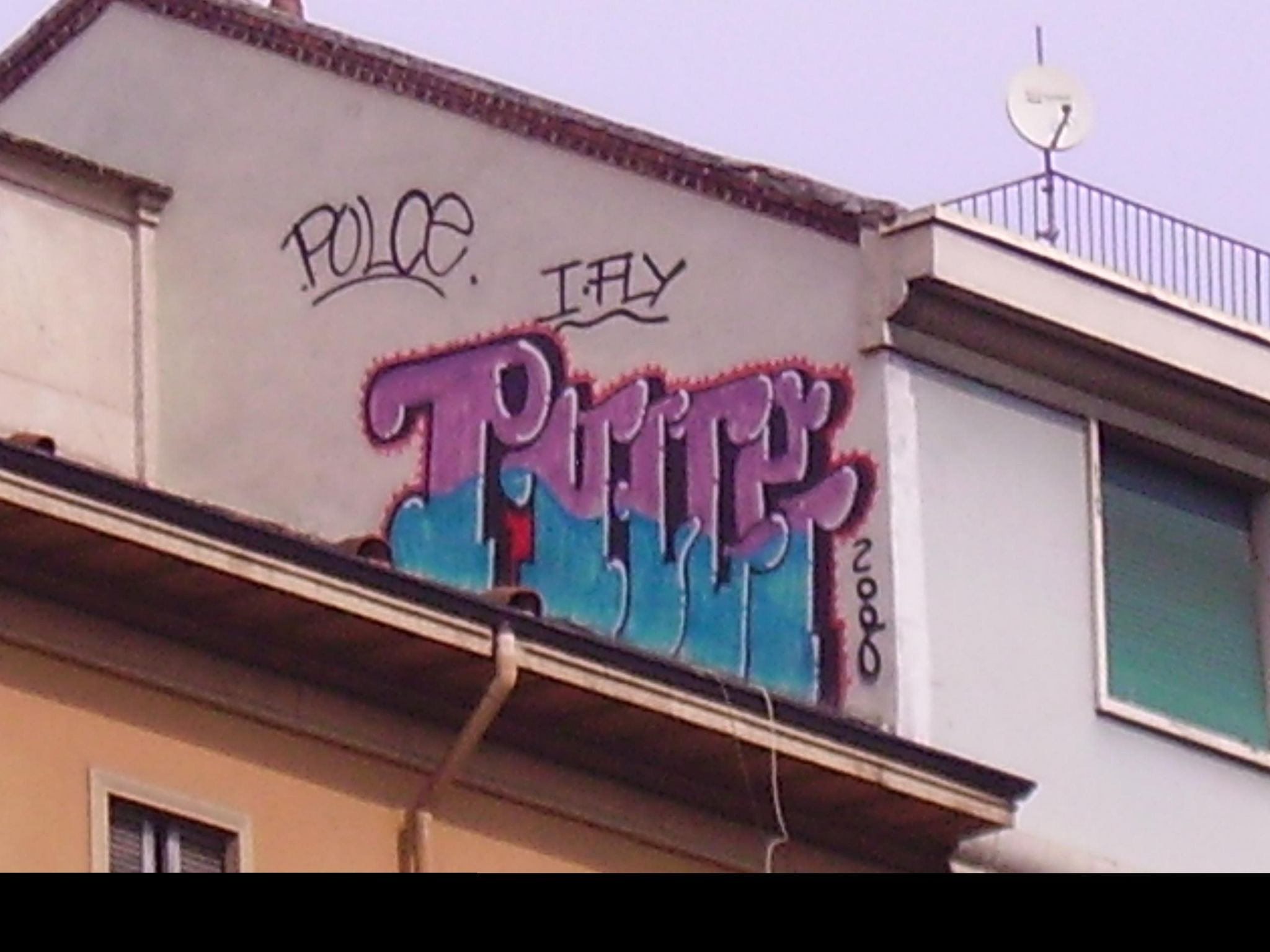 PULCE  CENERI